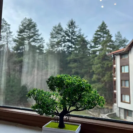 Kosara Home2host Bansko