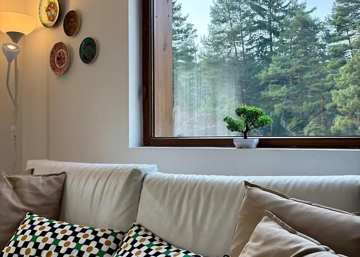 Kosara Home2host * 班斯科